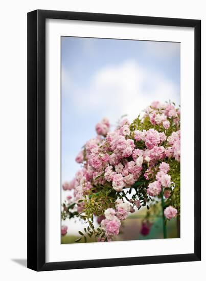 Spring Blossoms I-Karyn Millet-Framed Photographic Print