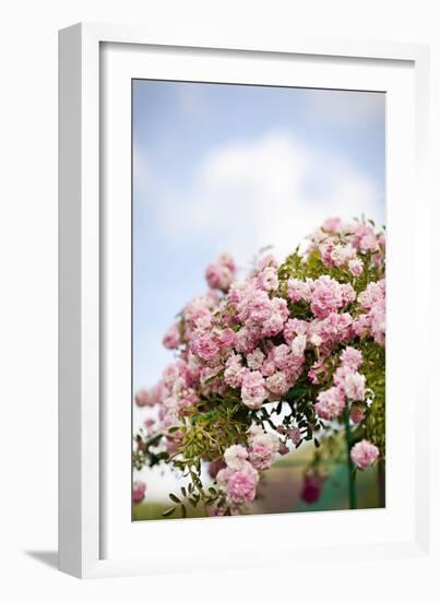 Spring Blossoms I-Karyn Millet-Framed Photographic Print