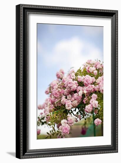 Spring Blossoms I-Karyn Millet-Framed Photographic Print