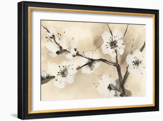 Spring Blossoms I-Chris Paschke-Framed Art Print