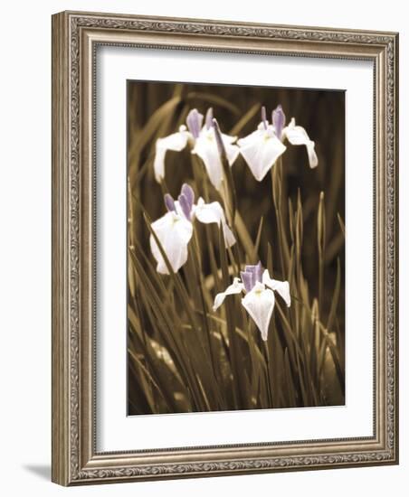 Spring Blossoms II-Boyce Watt-Framed Giclee Print