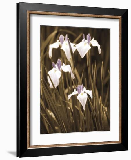 Spring Blossoms II-Boyce Watt-Framed Giclee Print