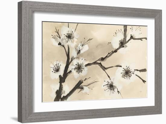 Spring Blossoms II-Chris Paschke-Framed Art Print