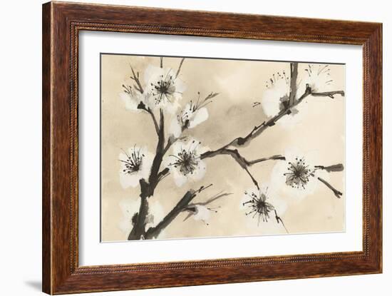 Spring Blossoms II-Chris Paschke-Framed Art Print