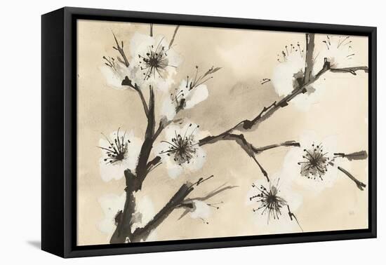 Spring Blossoms II-Chris Paschke-Framed Stretched Canvas