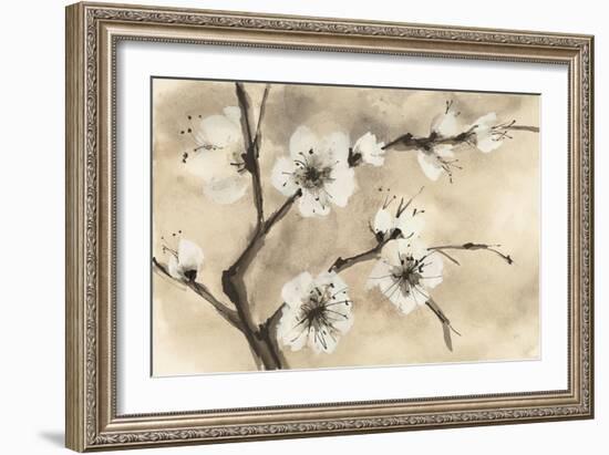 Spring Blossoms IV-Chris Paschke-Framed Art Print