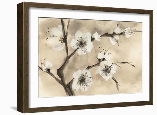 Spring Blossoms IV-Chris Paschke-Framed Art Print