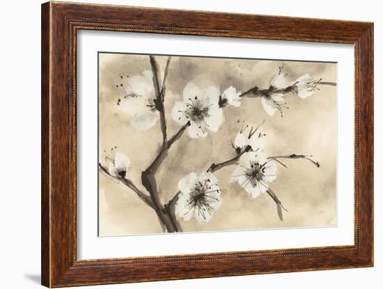 Spring Blossoms IV-Chris Paschke-Framed Art Print