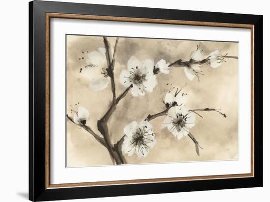 Spring Blossoms IV-Chris Paschke-Framed Art Print