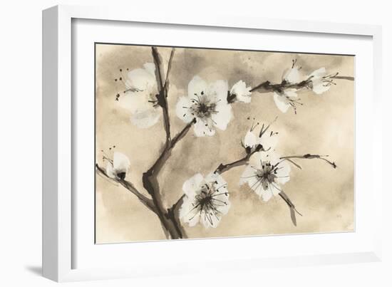 Spring Blossoms IV-Chris Paschke-Framed Art Print