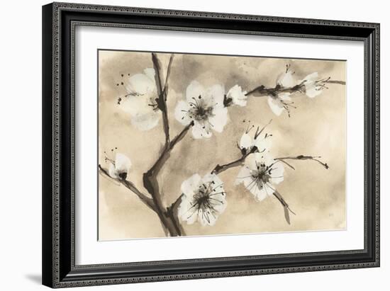 Spring Blossoms IV-Chris Paschke-Framed Art Print