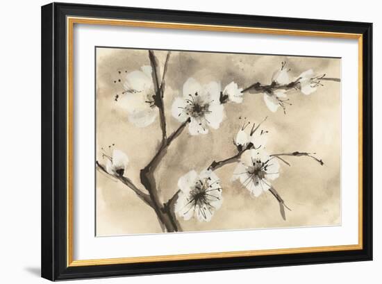 Spring Blossoms IV-Chris Paschke-Framed Art Print