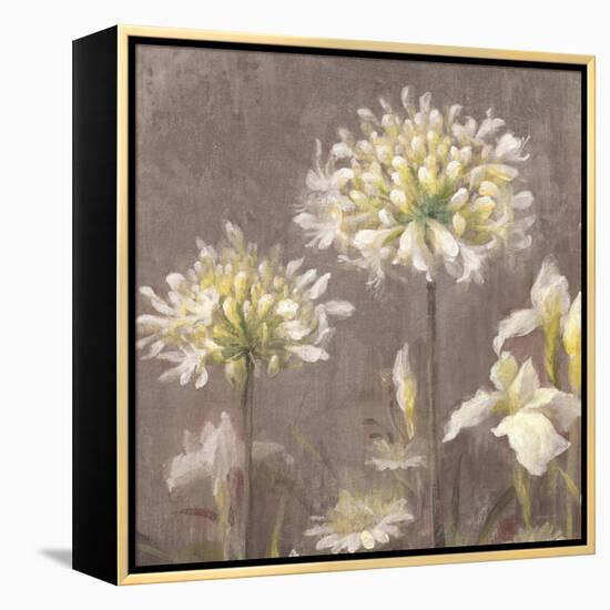 Spring Blossoms Neutral III-Danhui Nai-Framed Stretched Canvas