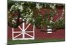 Spring Blossoms Red Barn-Robert Goldwitz-Mounted Photographic Print