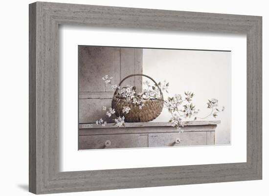 Spring Blossoms-Ray Hendershot-Framed Art Print