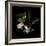 Spring Blossoms-Magda Indigo-Framed Photographic Print