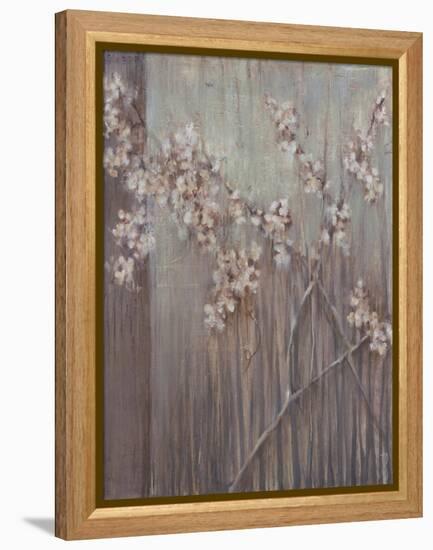 Spring Blossoms-Terri Burris-Framed Stretched Canvas