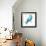 Spring Blue Bird III-Lanie Loreth-Framed Art Print displayed on a wall