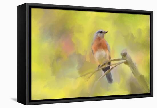 Spring Bluebird-Jai Johnson-Framed Premier Image Canvas