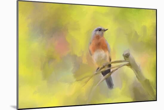 Spring Bluebird-Jai Johnson-Mounted Giclee Print