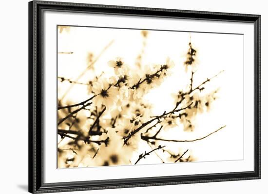 Spring Blush-Katja Marzahn-Framed Giclee Print