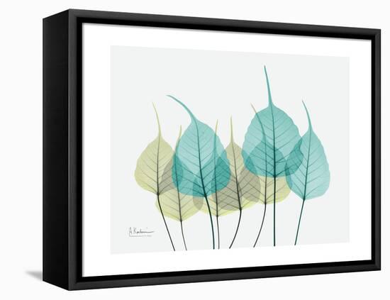 Spring Bodhi Leaves-Albert Koetsier-Framed Stretched Canvas