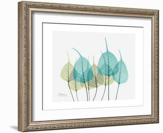 Spring Bodhi Leaves-Albert Koetsier-Framed Art Print