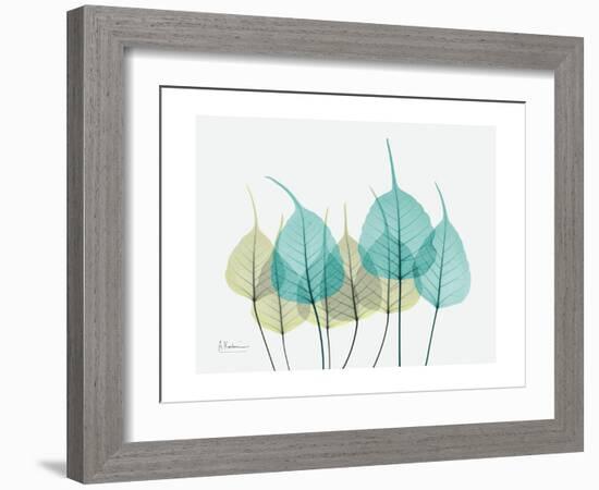 Spring Bodhi Leaves-Albert Koetsier-Framed Art Print