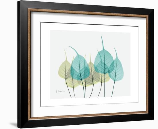 Spring Bodhi Leaves-Albert Koetsier-Framed Art Print