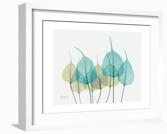 Spring Bodhi Leaves-Albert Koetsier-Framed Art Print