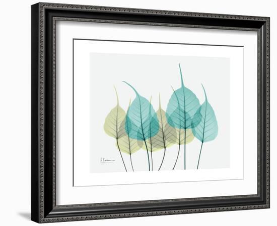 Spring Bodhi Leaves-Albert Koetsier-Framed Art Print