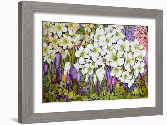 Spring Border: Hellebores, Crocus and Violets-Joan Thewsey-Framed Giclee Print