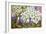 Spring Border: Hellebores, Crocus and Violets-Joan Thewsey-Framed Giclee Print