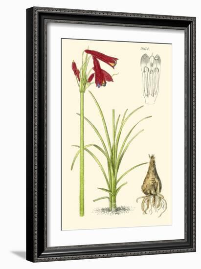 Spring Bounty III-Samuel Curtis-Framed Art Print