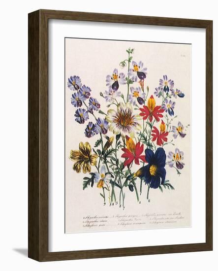 Spring Bouquet-Jane W. Loudon-Framed Giclee Print