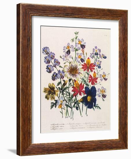 Spring Bouquet-Jane W. Loudon-Framed Giclee Print