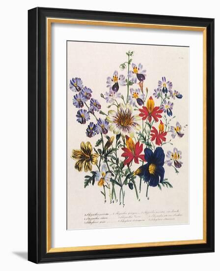 Spring Bouquet-Jane W. Loudon-Framed Giclee Print