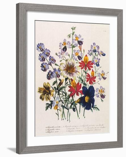 Spring Bouquet-Jane W. Loudon-Framed Giclee Print