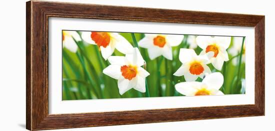 Spring Breeze-Joseph Eta-Framed Giclee Print