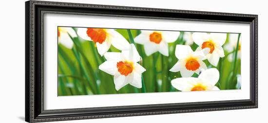 Spring Breeze-Joseph Eta-Framed Giclee Print