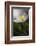 Spring breeze-Heidi Westum-Framed Photographic Print