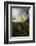 Spring breeze-Heidi Westum-Framed Photographic Print