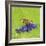 Spring Butterfly-Viviane Fedieu Daniel-Framed Photographic Print