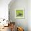 Spring Butterfly-Viviane Fedieu Daniel-Framed Photographic Print displayed on a wall