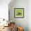 Spring Butterfly-Viviane Fedieu Daniel-Framed Photographic Print displayed on a wall