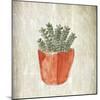 Spring Cactus 2-Kimberly Allen-Mounted Art Print