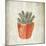 Spring Cactus 2-Kimberly Allen-Mounted Art Print