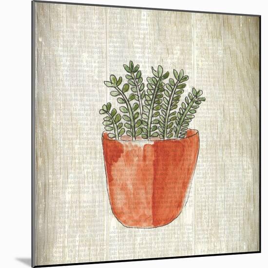 Spring Cactus 2-Kimberly Allen-Mounted Art Print