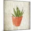 Spring Cactus 3-Kimberly Allen-Mounted Art Print