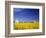 Spring Canola Crop-Terry Eggers-Framed Photographic Print